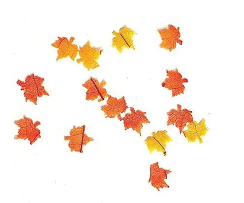 Autumn Leaves, Approx 50