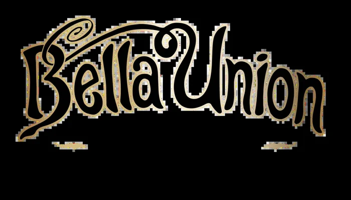 Bella Union Sauvignon Blanc 22 750ML