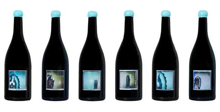 OUR LADY OF GUADALUPE BY DAVE PHINNEY PINOT NOIR STA RITA HILLS 2023