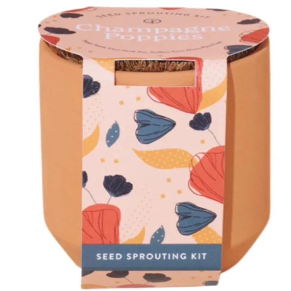 Tiny Terracotta Kit: Champagne Poppies